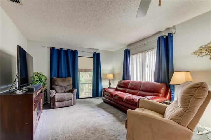 Living Room - Rear Portion