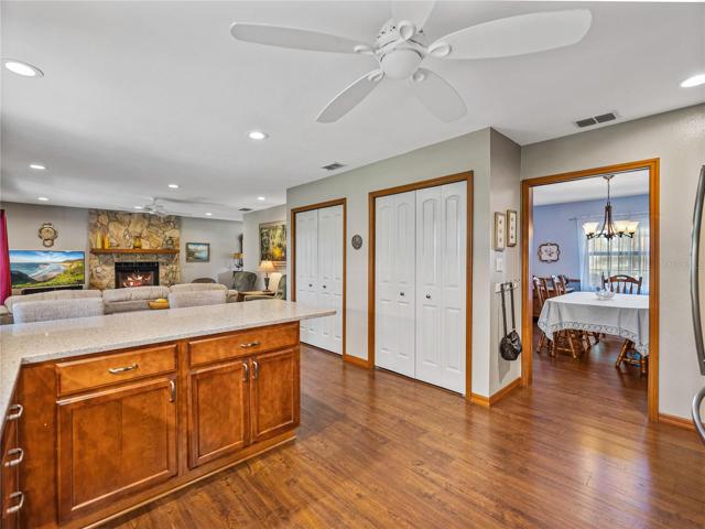 Kitchen/closet pantry