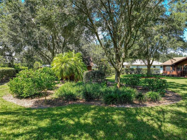 Backyard with beautiful mature landscaping