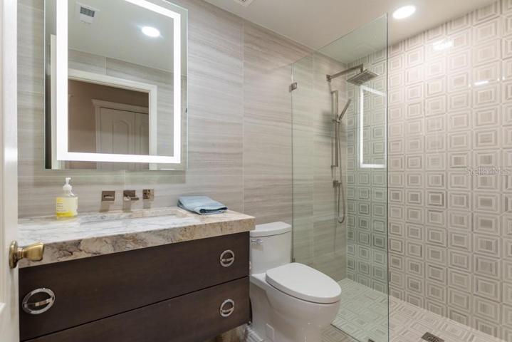 Guest bathroom