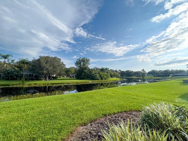 Peaceful pond