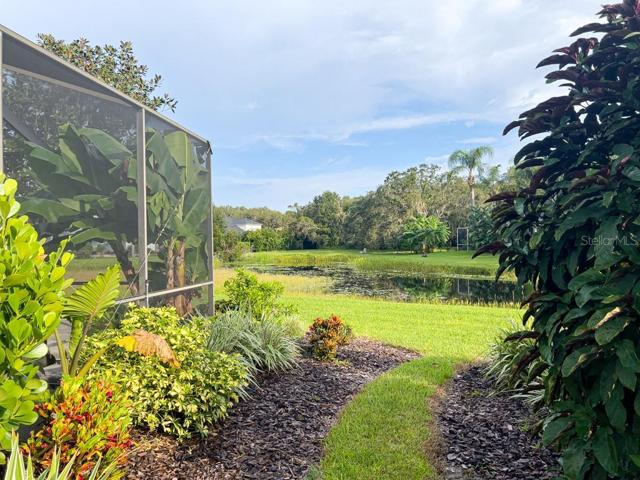 Lush greenery and path to pond