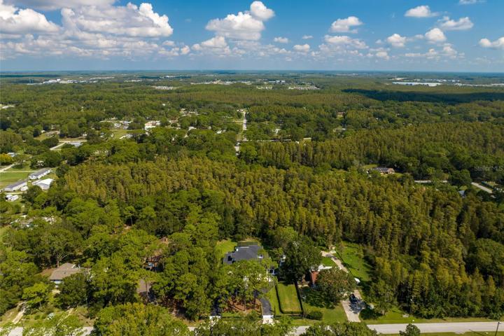 Surrounded by trees on this beautiful property