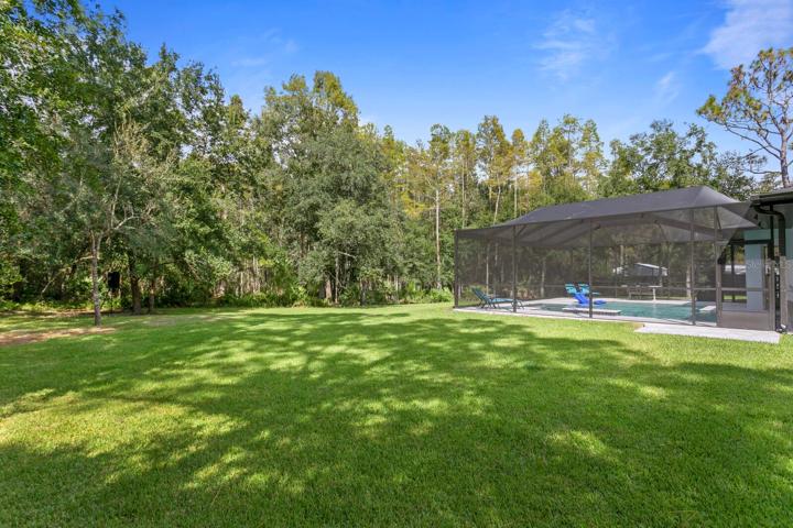 Large backyard space