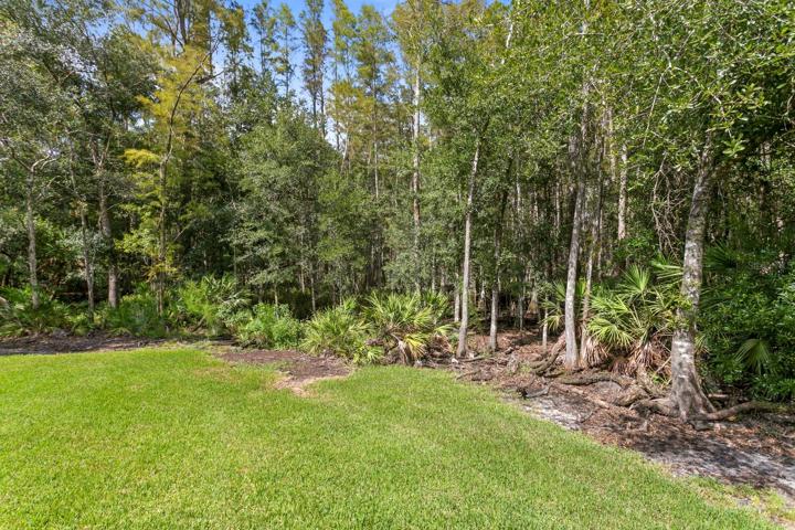 Ultimate in privacy - a 1-acre fully wooded backyard