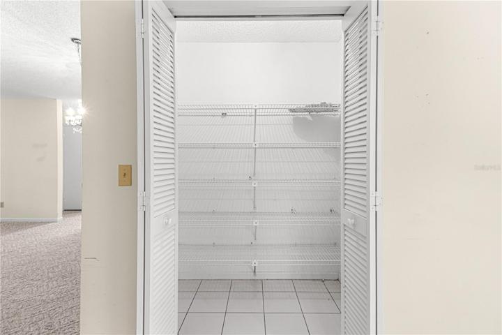 Large Deep Pantry with light