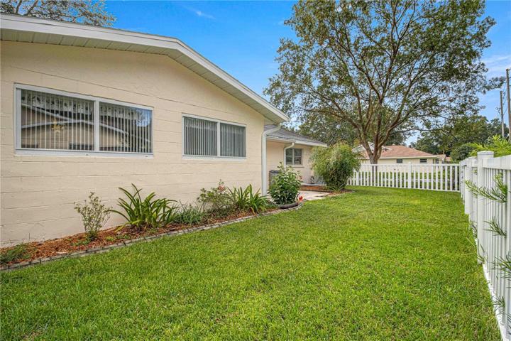 Fenced Back Yard