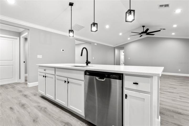 Kitchen looking into the great room - easy and open access to the living areas of the home, with master suite being in a private wing!