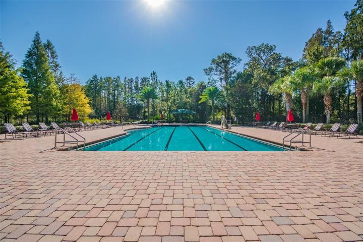 lap pool