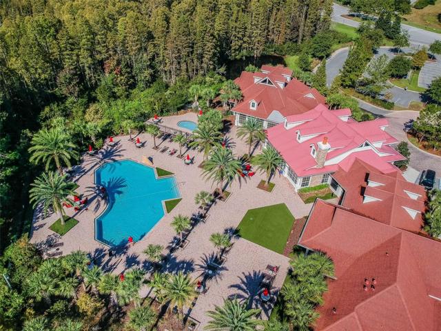 tropical oasis