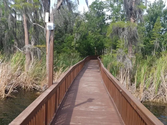 Walk way to lake