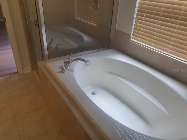 Master Bathtub