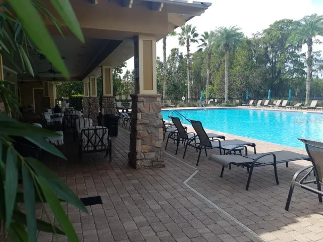 Loungers at pool