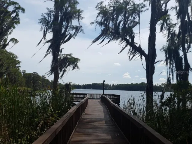 dock and lake