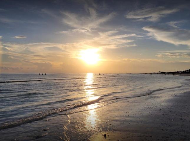 Honeymoon Island Beaches
