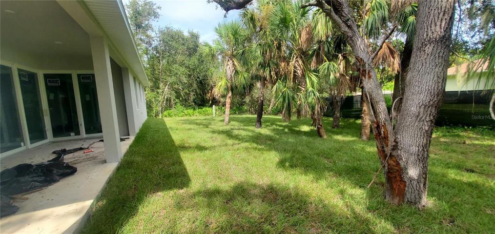 Sodded rear yard, lots of beautiful trees