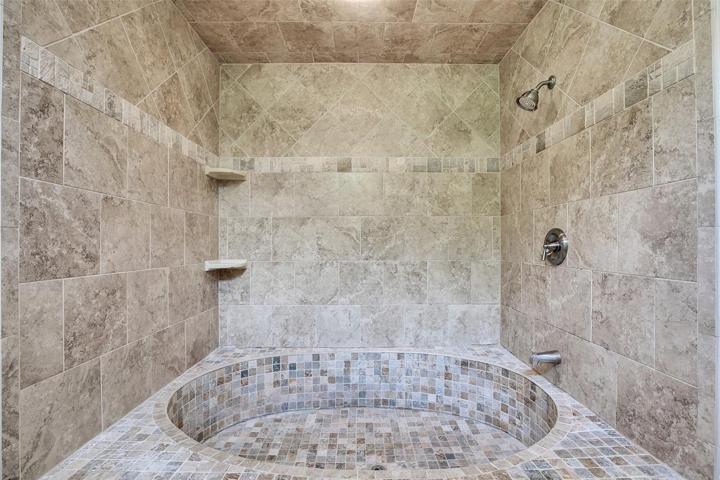 Updated primary bath shower and Roman tub