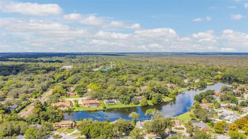 Cove Lake Aerial