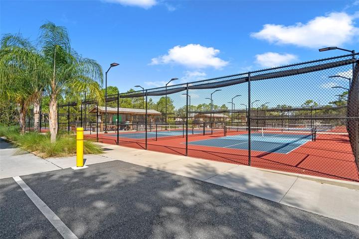 Pickle Ball
