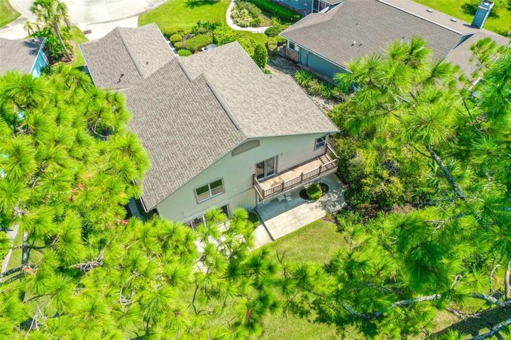 Aerial View of Backyard