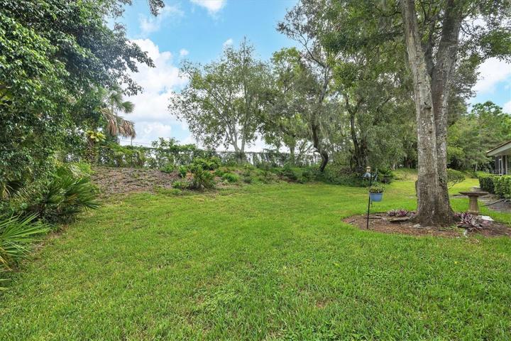 Back yard