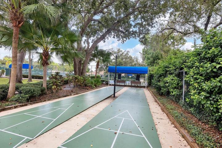 Shuffleboard