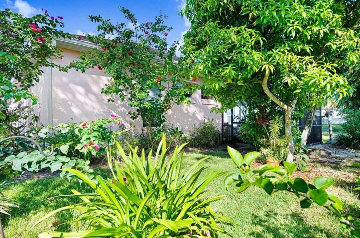 Yard