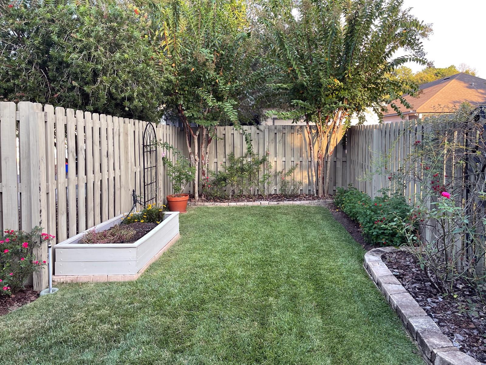 Back Yard