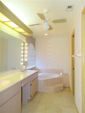 master bath tub