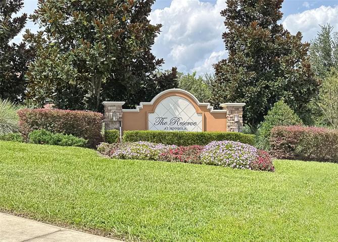 Welcome Home to The Reserve at Minneola!