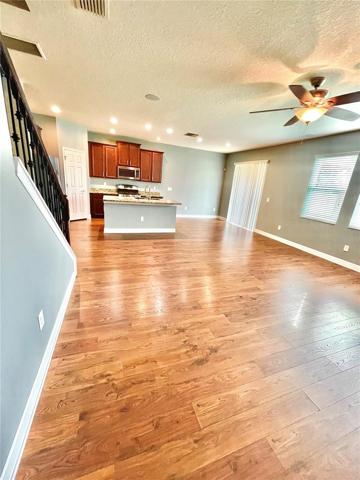 Living Room, Hallway to Lower Level Bedroom and Bath