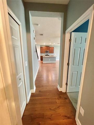 Hallway to Kitchen