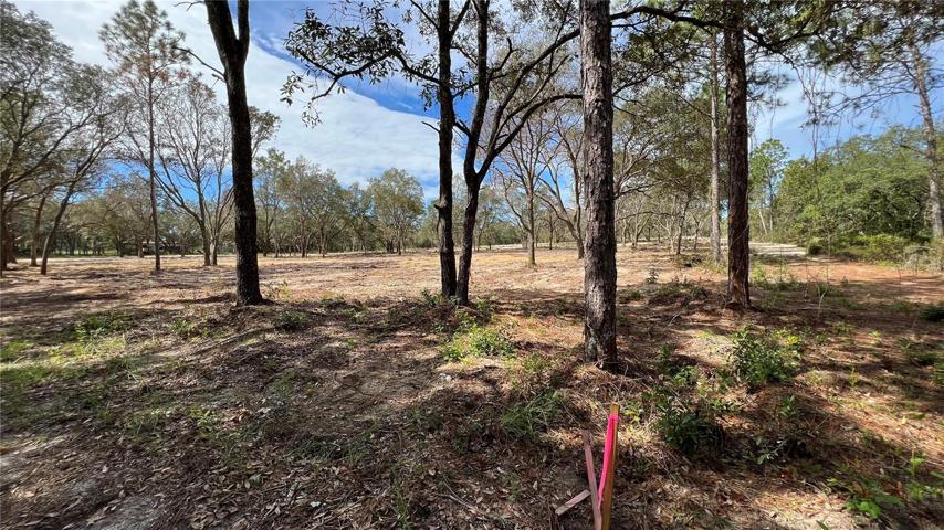 survey marker-Cornerside of lot on NE 72nd Place
