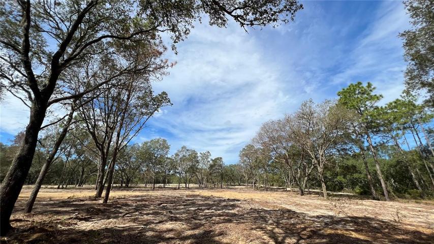 Lot view interior with view of road on right (NE 72nd Place)