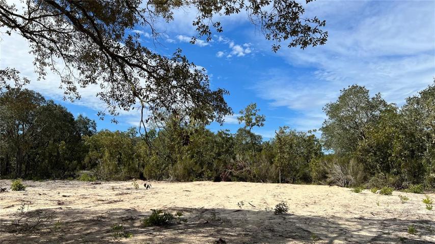 Quiet spot for your dream home.
