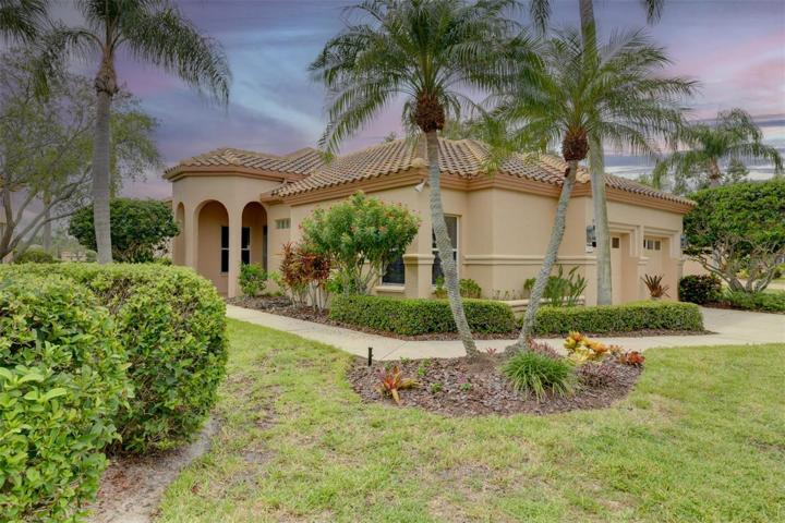 Mature palm trees around the house