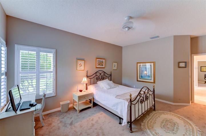 carpet flooring in the guest bedroom