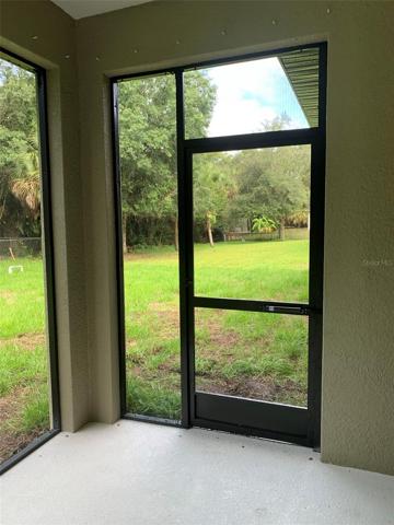 View of Backyard