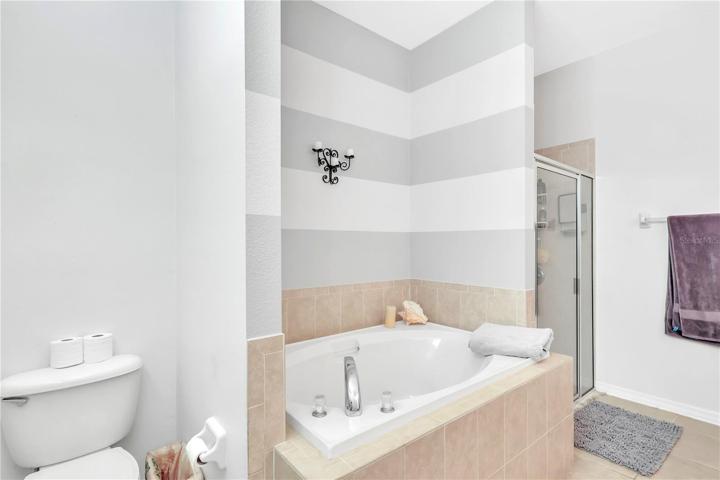 Master Bath Tub