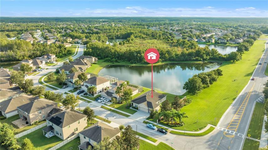 Backyard Overview