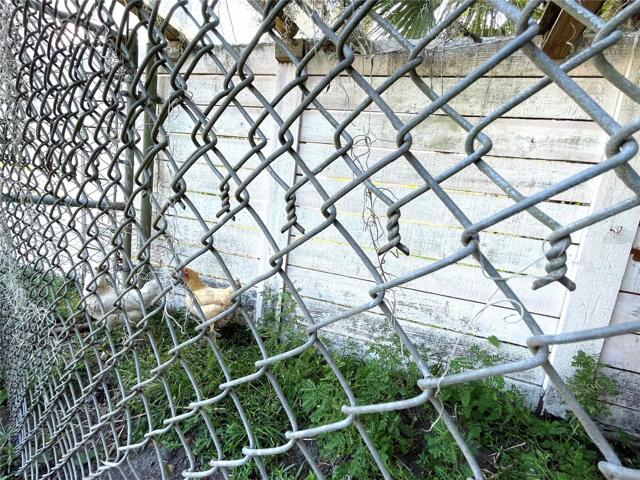 CHICKEN PEN/DOG RUN