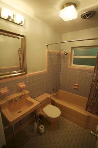 Guest/Hall bath