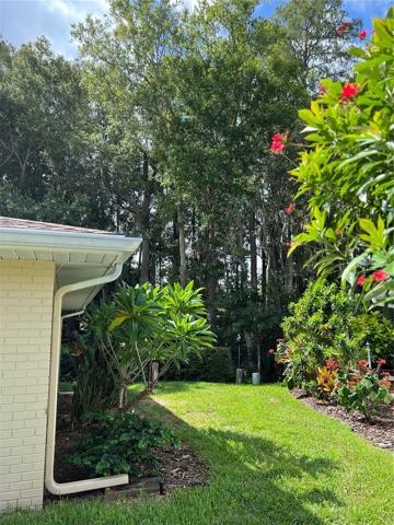 Right side yard