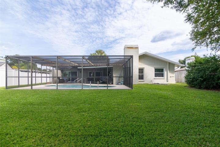 Great back yard