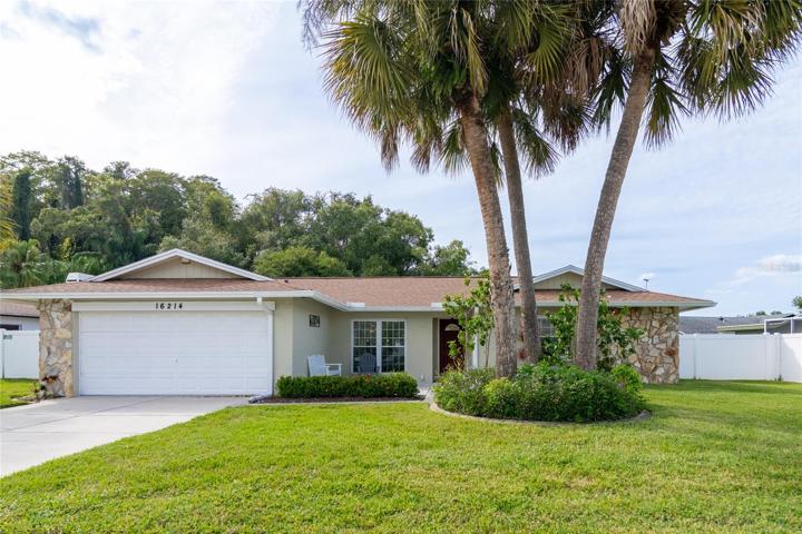 Beautiful Northdale Home
