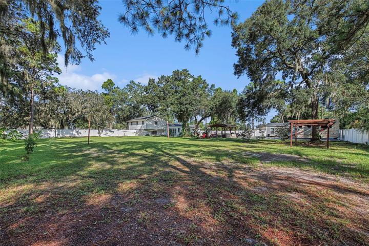 Backyard Property View