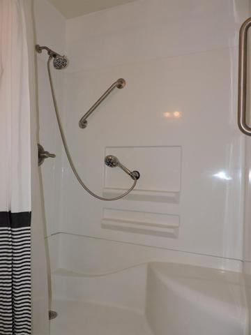 Master Bath Shower
