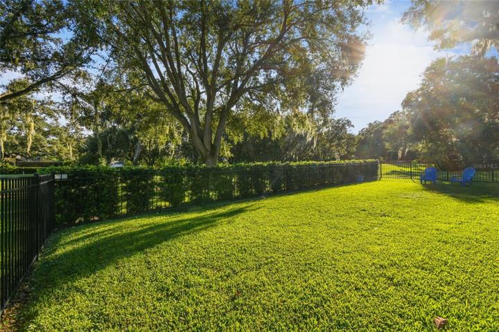 BACK YARD VIEW
