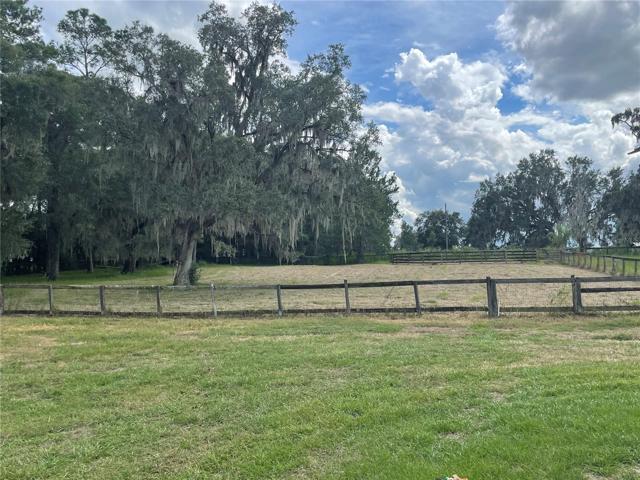 Lush Pasture
