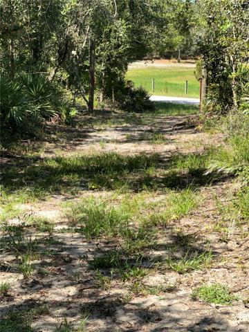 driveway view to gate